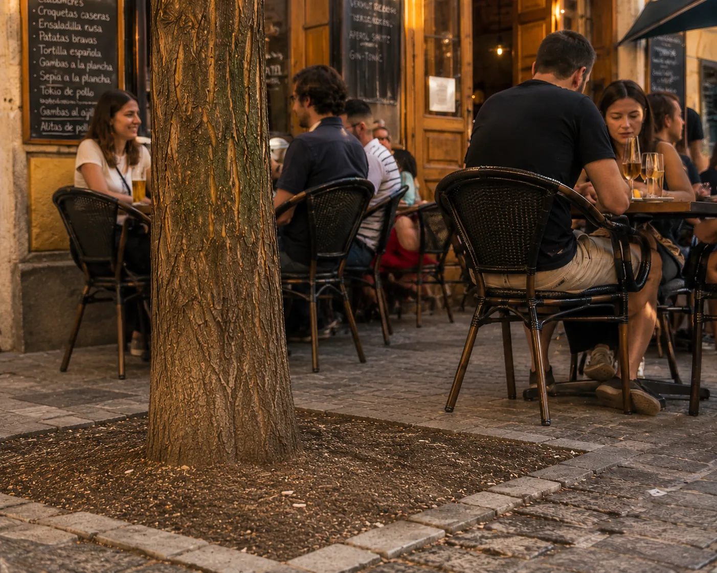 Antes: terraza de un bar de Malasaña con el alcorque vacío y sucio al pie del árbol
