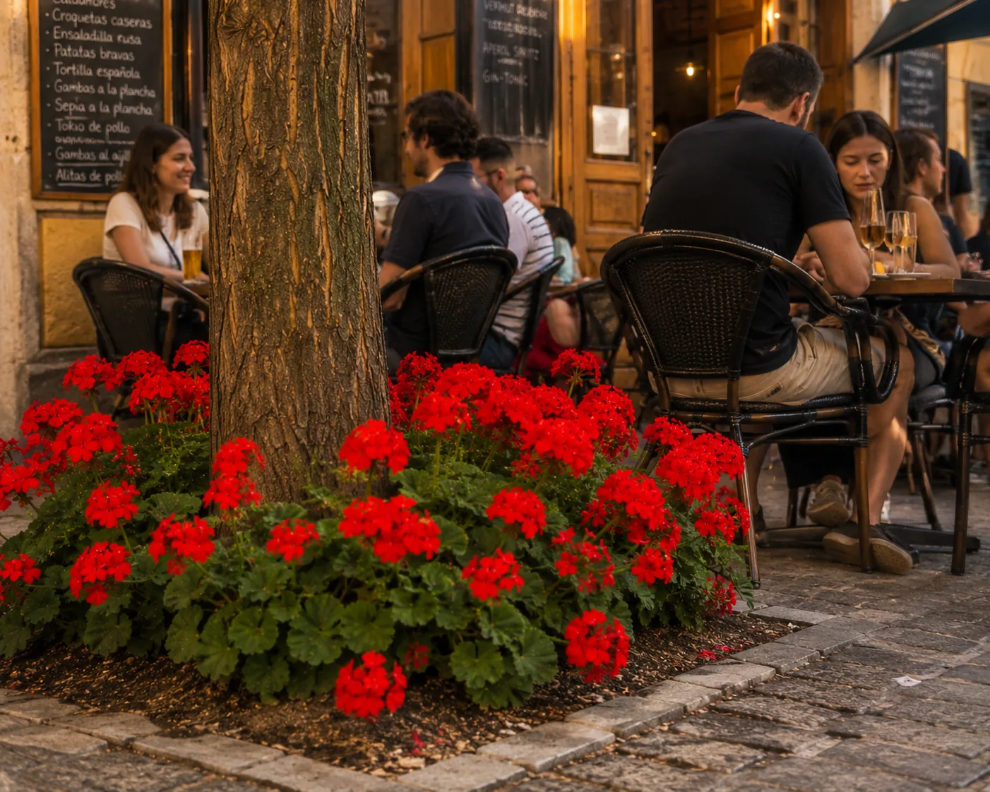 Después: la misma terraza con el alcorque florecido de geranios rojos mientras la gente cena